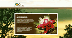 Desktop Screenshot of gaiaconsultoria.com.br